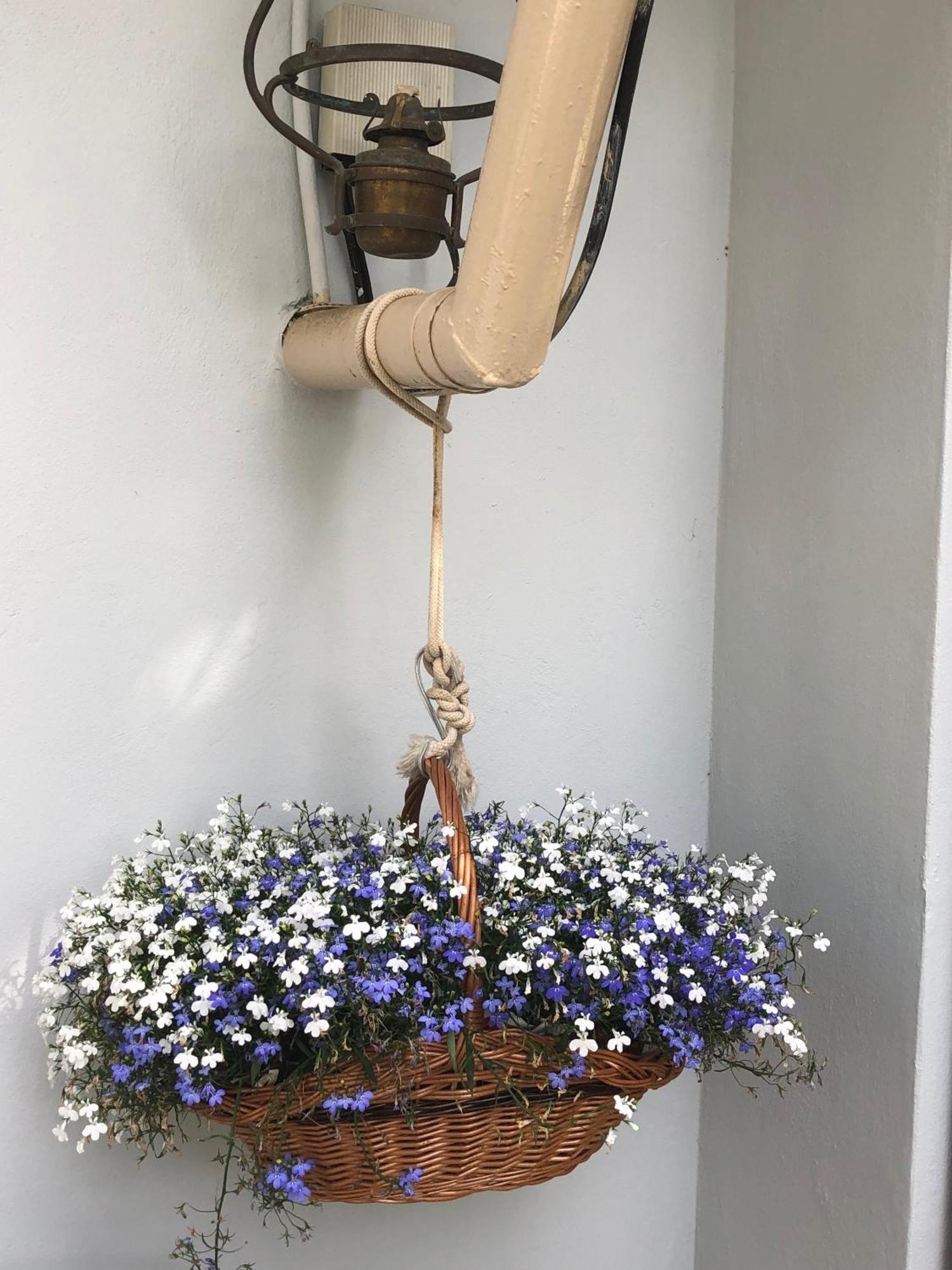 Apartments Veli Lošinj Zewnętrze zdjęcie
