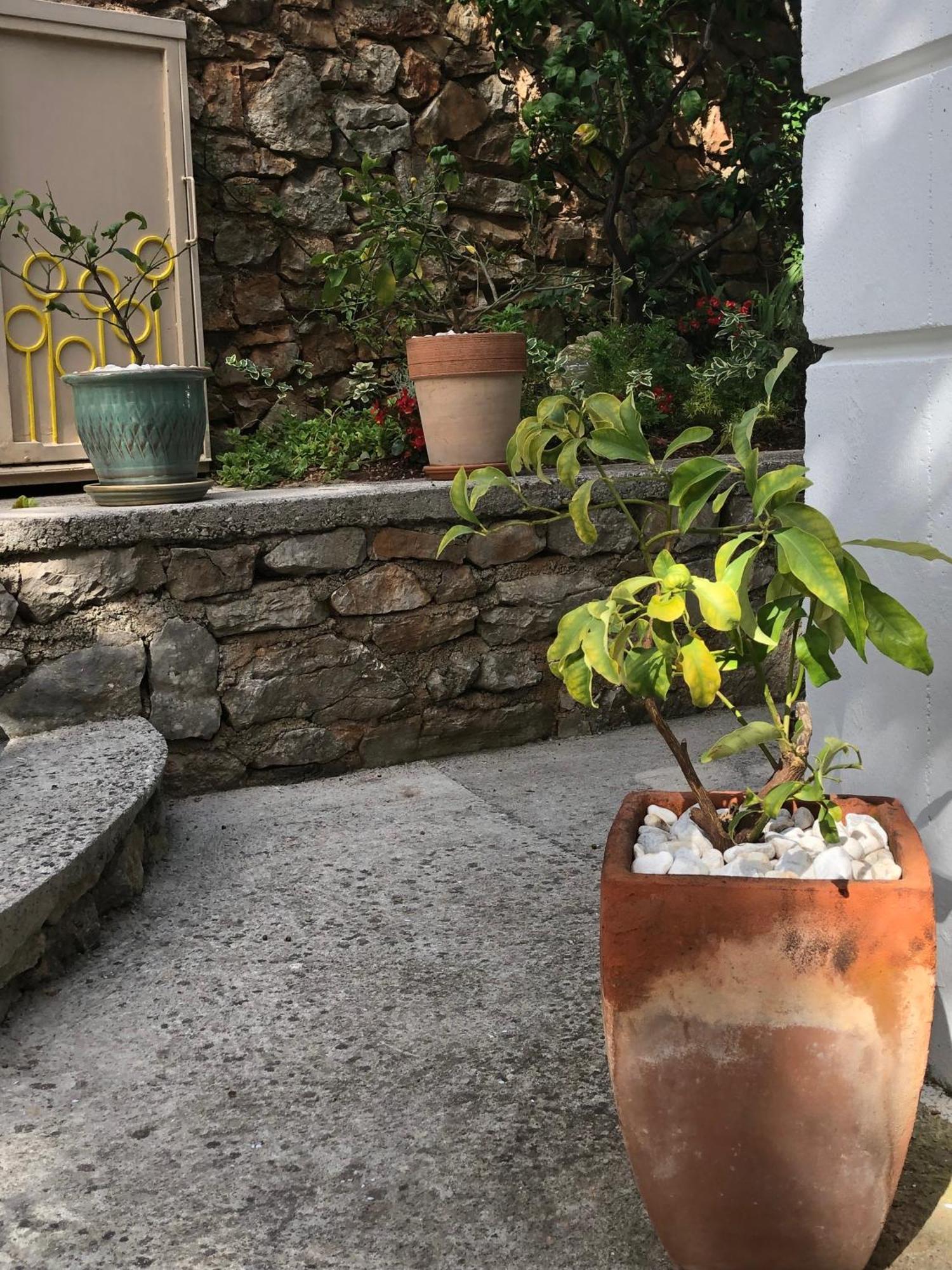 Apartments Veli Lošinj Zewnętrze zdjęcie