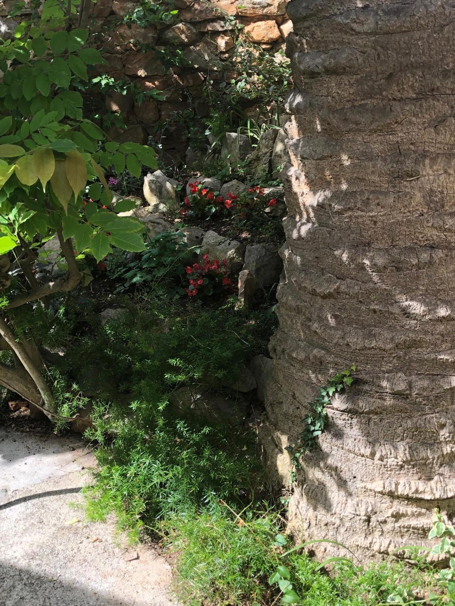 Apartments Veli Lošinj Zewnętrze zdjęcie
