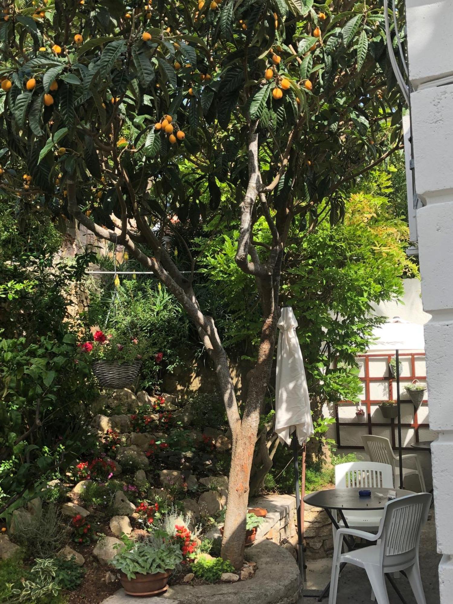 Apartments Veli Lošinj Zewnętrze zdjęcie