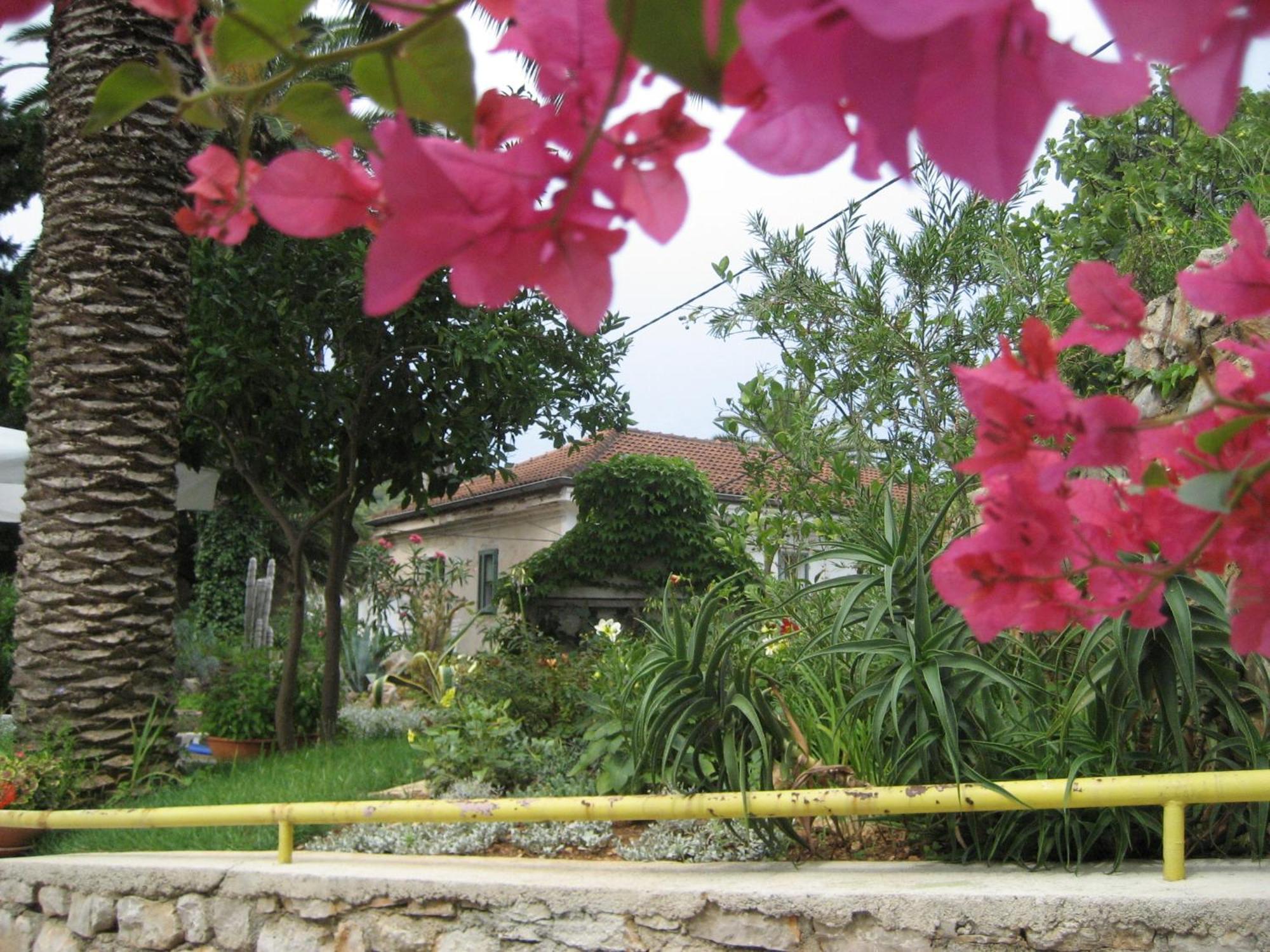 Apartments Veli Lošinj Zewnętrze zdjęcie