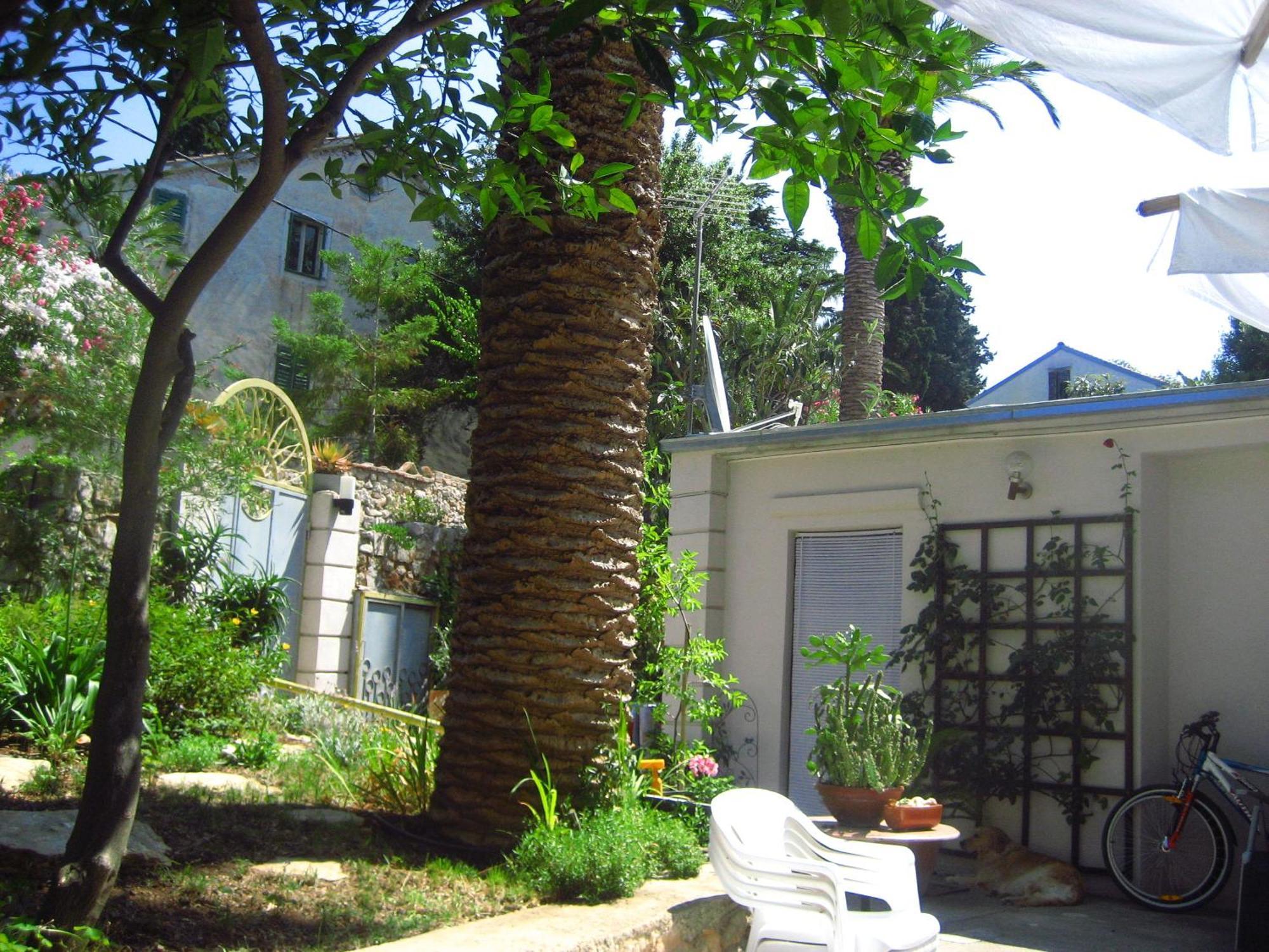 Apartments Veli Lošinj Zewnętrze zdjęcie